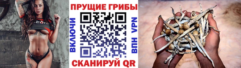 где можно купить наркотик  Барнаул  Галлюциногенные грибы ЛСД 